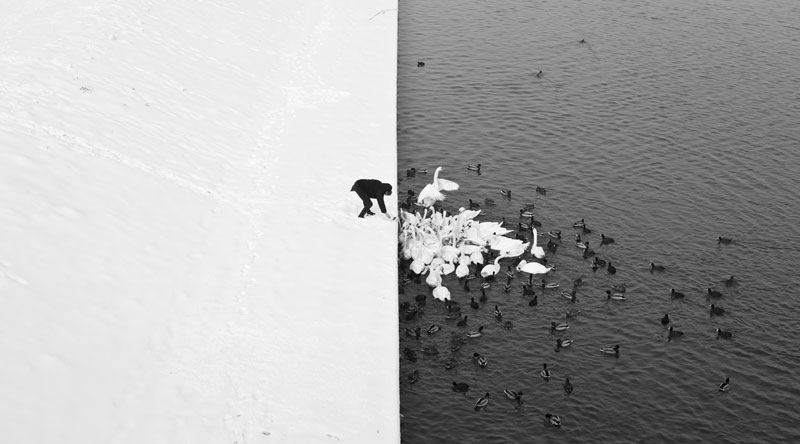 winter-contrast-in-krakow-poland-black-and-white.jpg