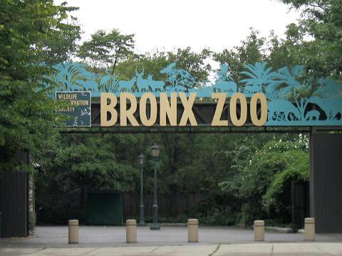 Stavenn_Bronx_Zoo_00.jpg