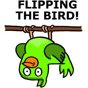 Flipping+the+bird