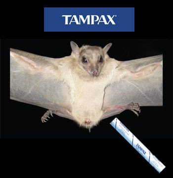 tampax+bat.jpg