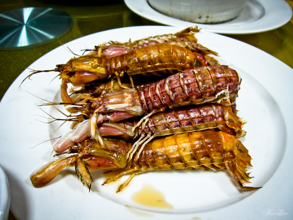 Mantis-Shrimp-in-China.jpg