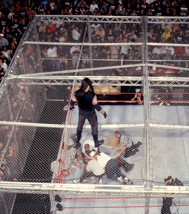 Mankind_vs_The_Undertaker_Hell_in_a_Cell_Match_King_of_the_Ring_1998_22.png