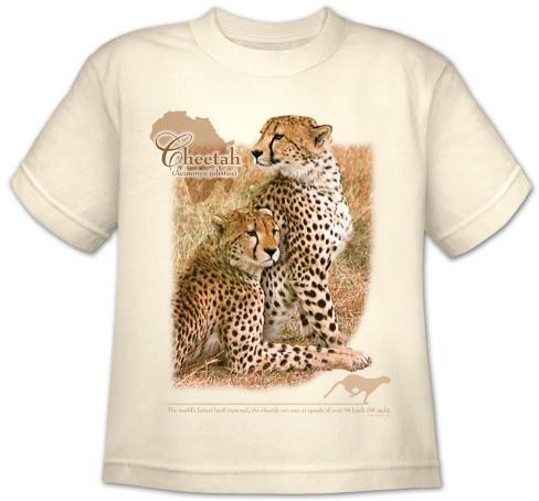 youth-wildlife-cheetah.jpg