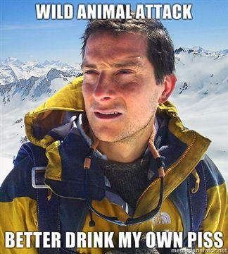 Wild-animal-attack-Better-drink-my-own-piss.jpg