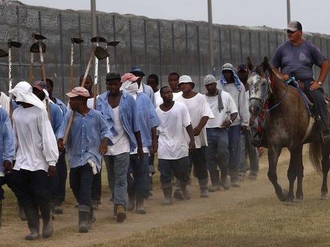 louisiana-prisoners-walking-from-farm-work-detail.jpg