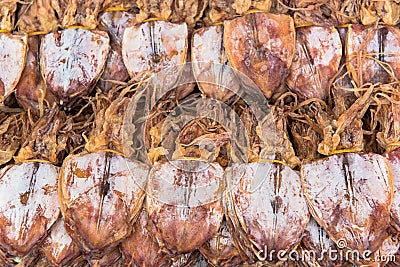 sun-dried-squid-seafood-market-33849386.jpg