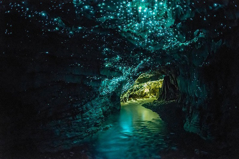 waitomo-glowworm-caves-north-island-new-zealand.jpg
