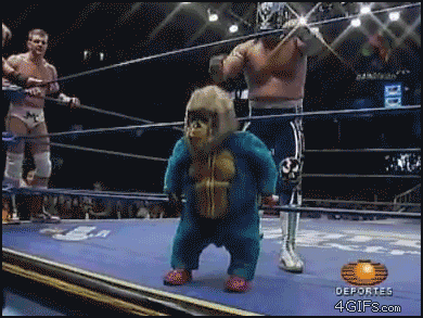 24-funny-wrestling-moments.gif