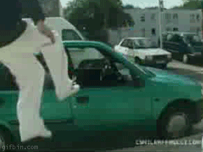 1271010043_jump-in-the-car.gif