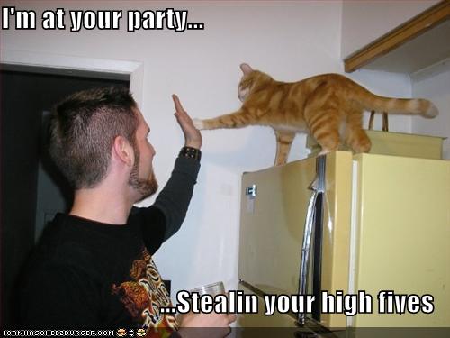 funny-pictures-cat-is-at-your-party-and-stealing-your-high-fives.jpg