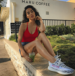 adrianne-ho-adidas-yeezy-boost-350-v2-zebra.png