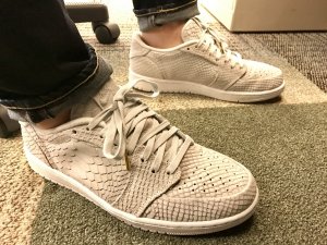 jordan1scales.jpg