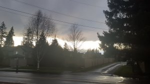 20180121_164140.jpg