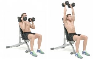 neutral-grip-seated-shoulder-press.jpg