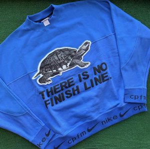 there is no finish line nike turtle