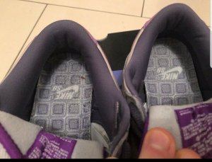 Legit Check: Nike Purple Pigeon Dunk 