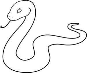 snake.jpg