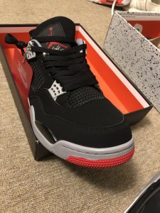 Bred 4 Pic 1.jpg