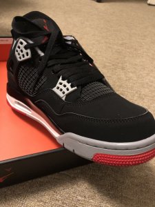 Bred 4 Pic 2.jpg