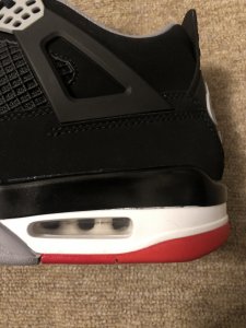 Bred 4 Pic 11.jpg