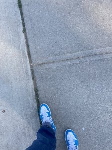 3CBB6FCC-3313-4819-B618-7C4D8C266D8A.jpeg