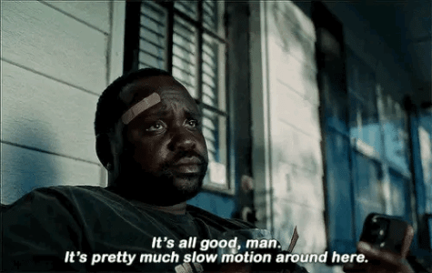 72D2E56E-5061-46D1-B70B-2D7527C1D090.gif