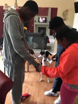 pray dog.jpg