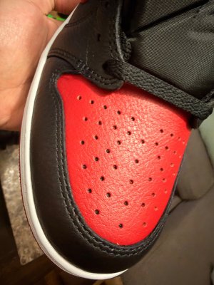 IMG_2411.jpeg