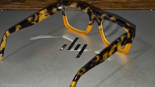 Seeeyewearglasses1.jpg