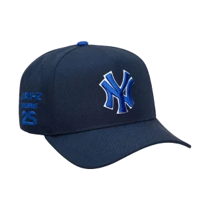 a66241bd36b1b1d6-blueprintyankeehat2.webp