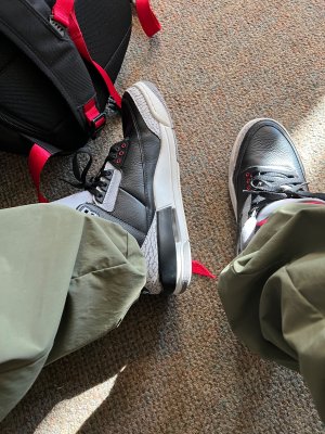 IMG_2448.jpeg
