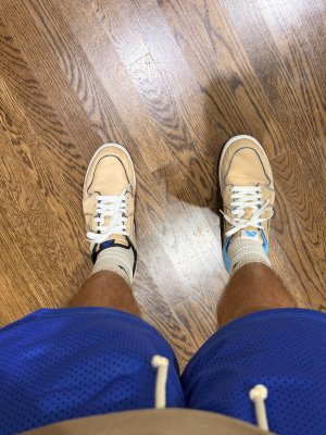IMG_2378.jpeg