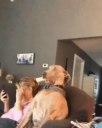 received_553744525112612.gif