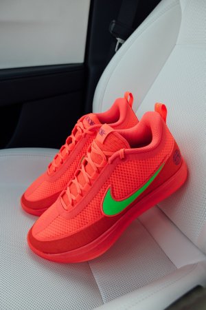 Book 2 EYBL-1.jpg