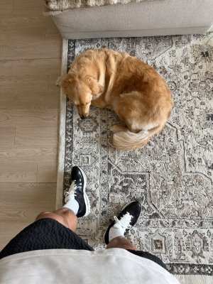 IMG_6007.jpeg