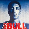 on-bull