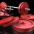 themuscle1116