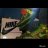 ihavesole