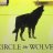 circlelikewolves