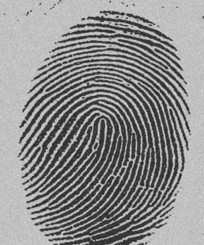 fingerprint.jpg