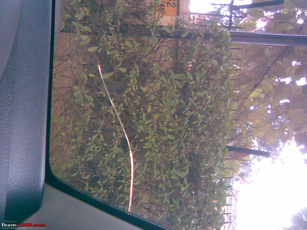 241548d1260251074-now-how-heck-did-my-windshield-develop-crack-03122009001.jpg
