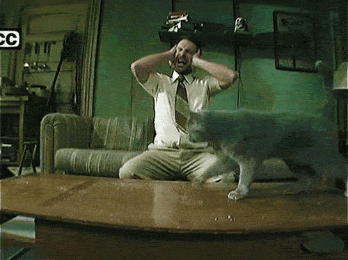 YNfJl3O.gif