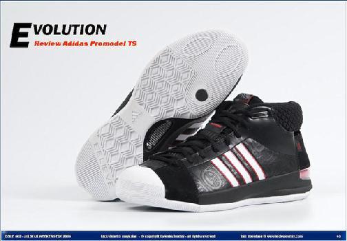 kicksOmeter Review: Adidas Pro Model TS | NikeTalk