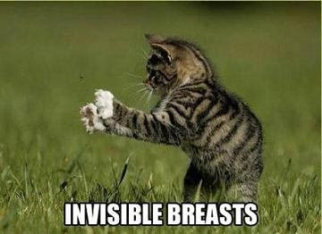 invisible_breasts.jpg