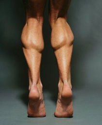 calf-muscle-exercises.jpg