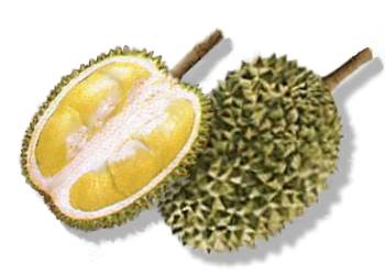 durian_fruit.jpg