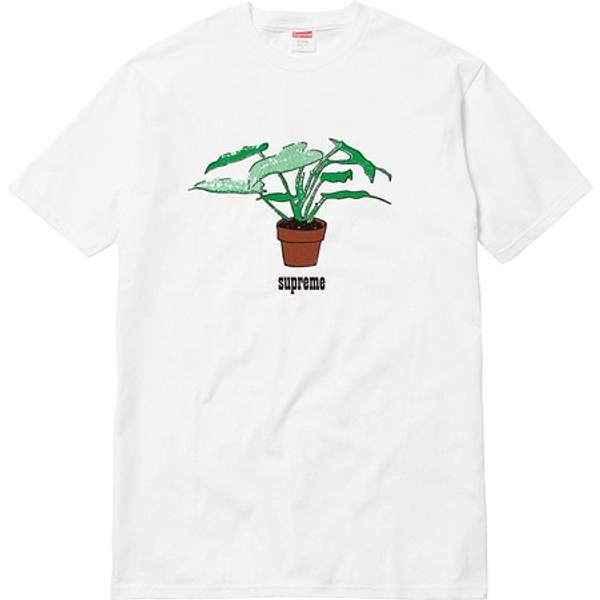 lYHGemgT1y89UlyAuZAC+supreme-plant-tee-t-shirt