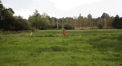 tumblr_md7us5QB371qg0tbjo1_400.gif