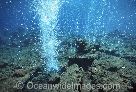 underwater-volcanic-vent-24M2455-33.jpg