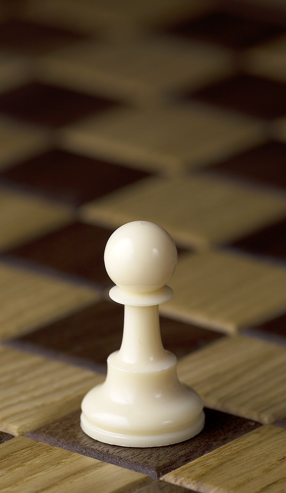 white-pawn.jpg